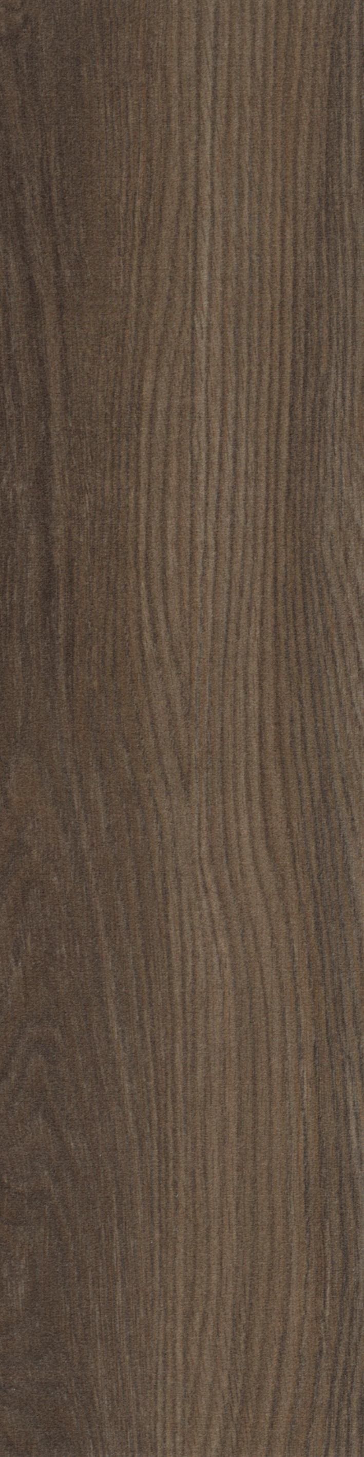 MOCHA 1006