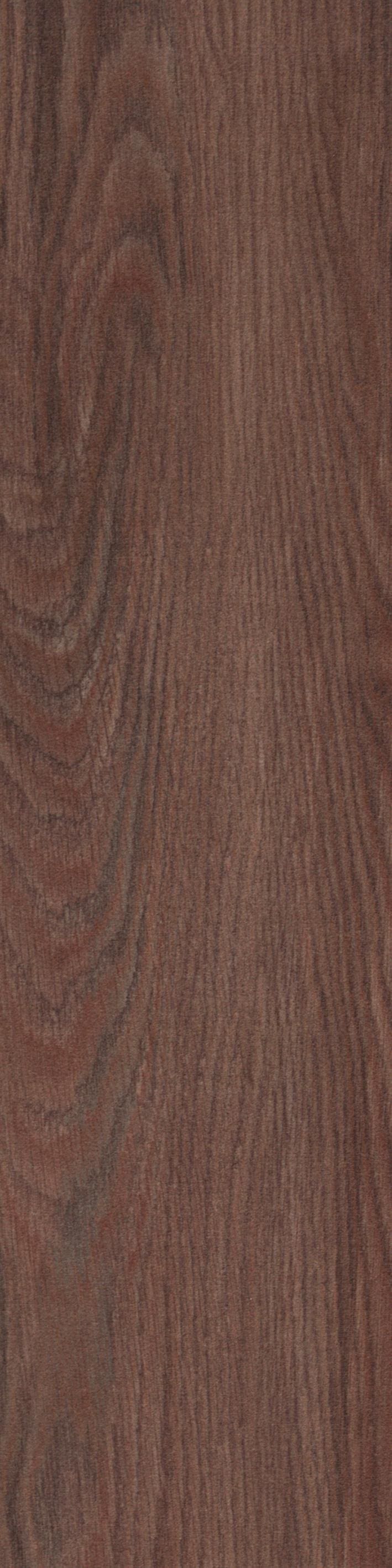 PENNY 1005